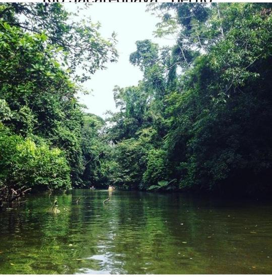 Suites Proximo Ao Rio Jaguareguava Em Bertioga Zewnętrze zdjęcie