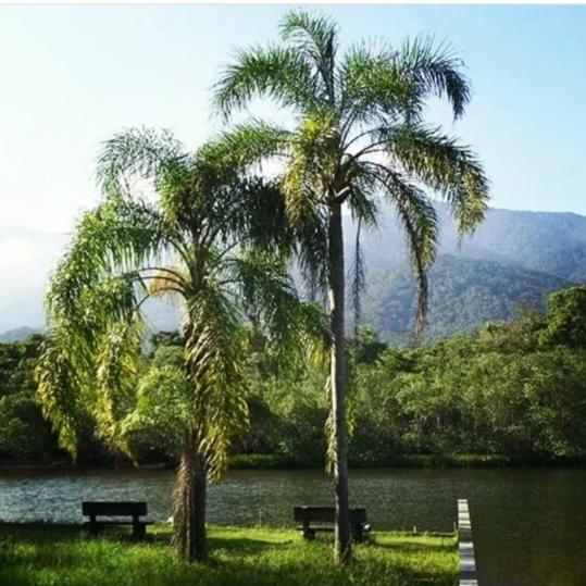 Suites Proximo Ao Rio Jaguareguava Em Bertioga Zewnętrze zdjęcie
